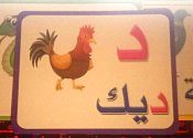 صفحة 4